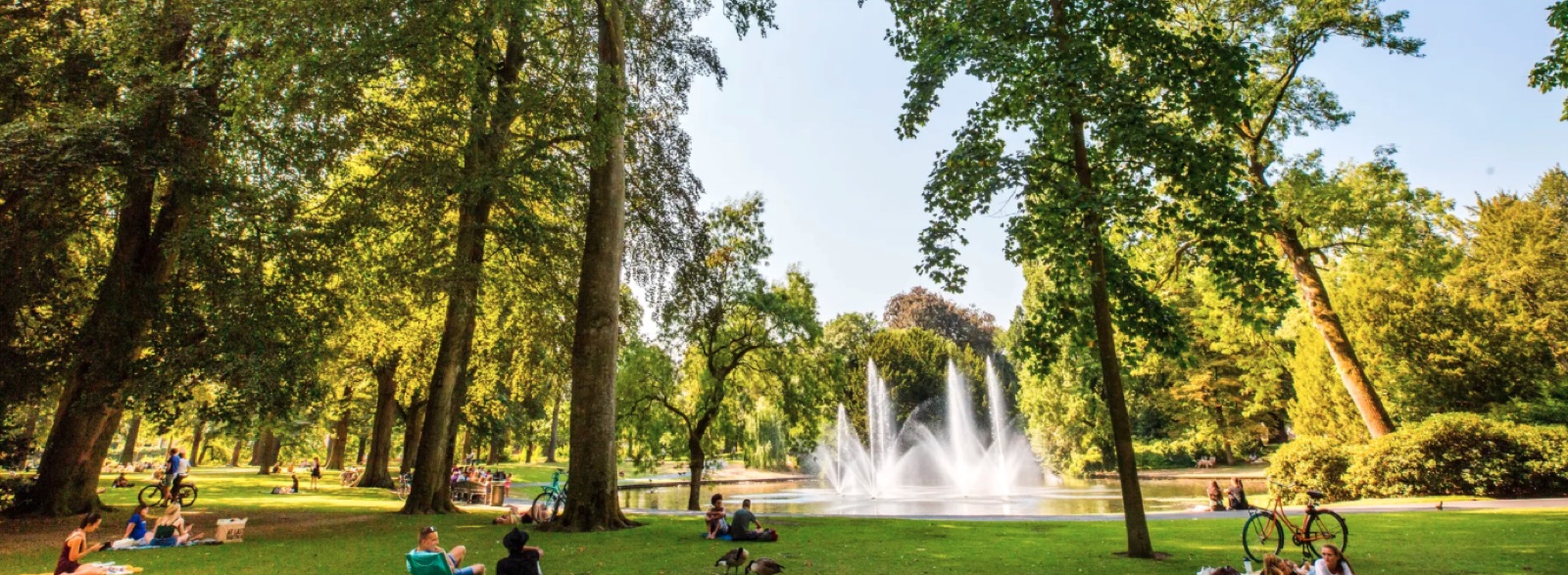 Groen Park Valkenberg gezien vanaf de Bredase singel